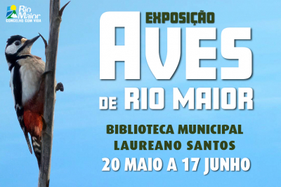 Aves de Rio Maior - Exposição e workshop de fotografia